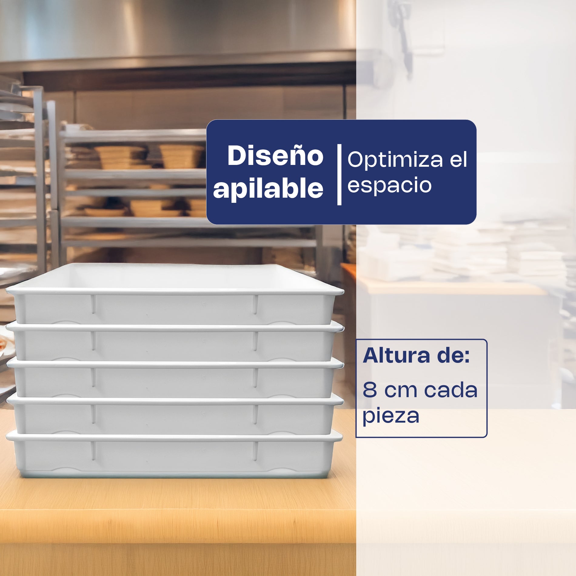 Caja de Polipropileno para Masa de Pizza de 18 Litros y Espesor de 5 mm 3pz Caledonia CAMAPI-18CH