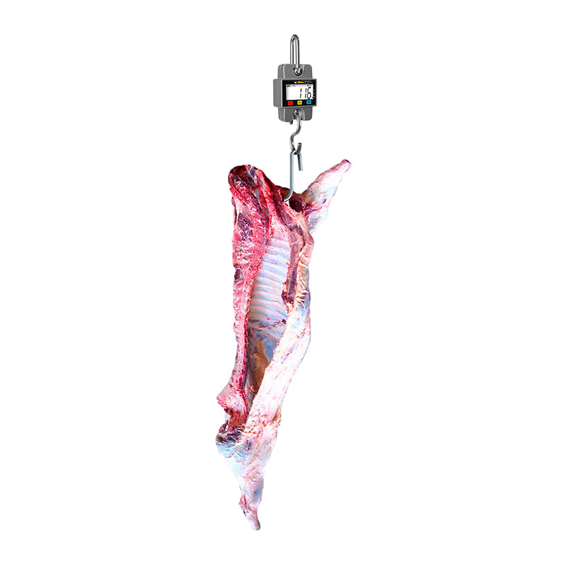 Básculas Colgantes Rhino Bac-300 Lcd Backlight 300 Kg